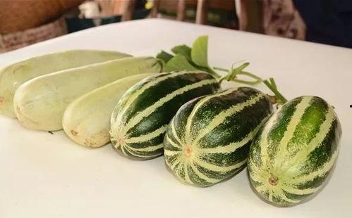 网红吃瓜爆料大全,揭秘娱乐圈幕后真相 第3张 网红吃瓜爆料大全,揭秘娱乐圈幕后真相 第3张